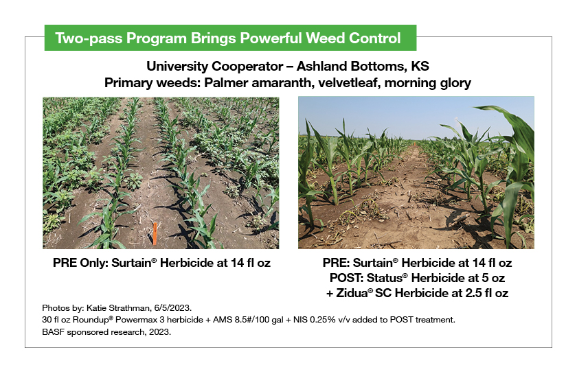 Comparison of corn rows with PRE only Surtain herbicide versus PRE Surtain herbicide followed by POST Status and Zidua herbicide showing improved weed control. 