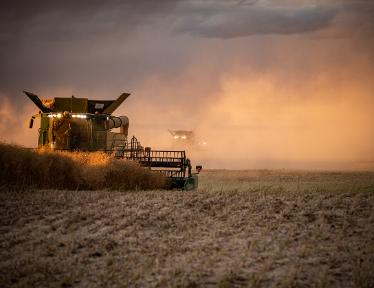 Tractor plowing a field