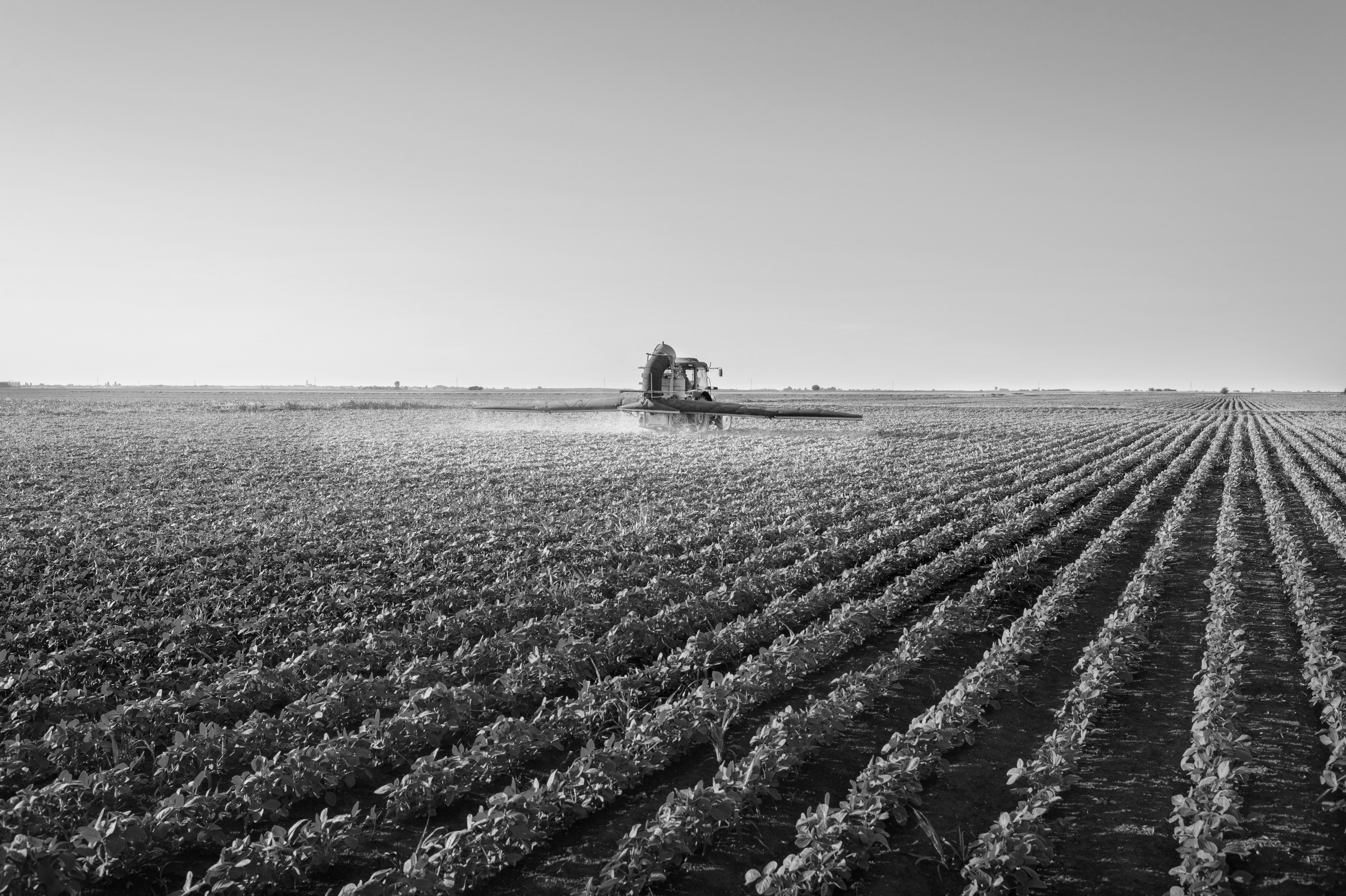 Black and white image of a sprayer in a soybean field