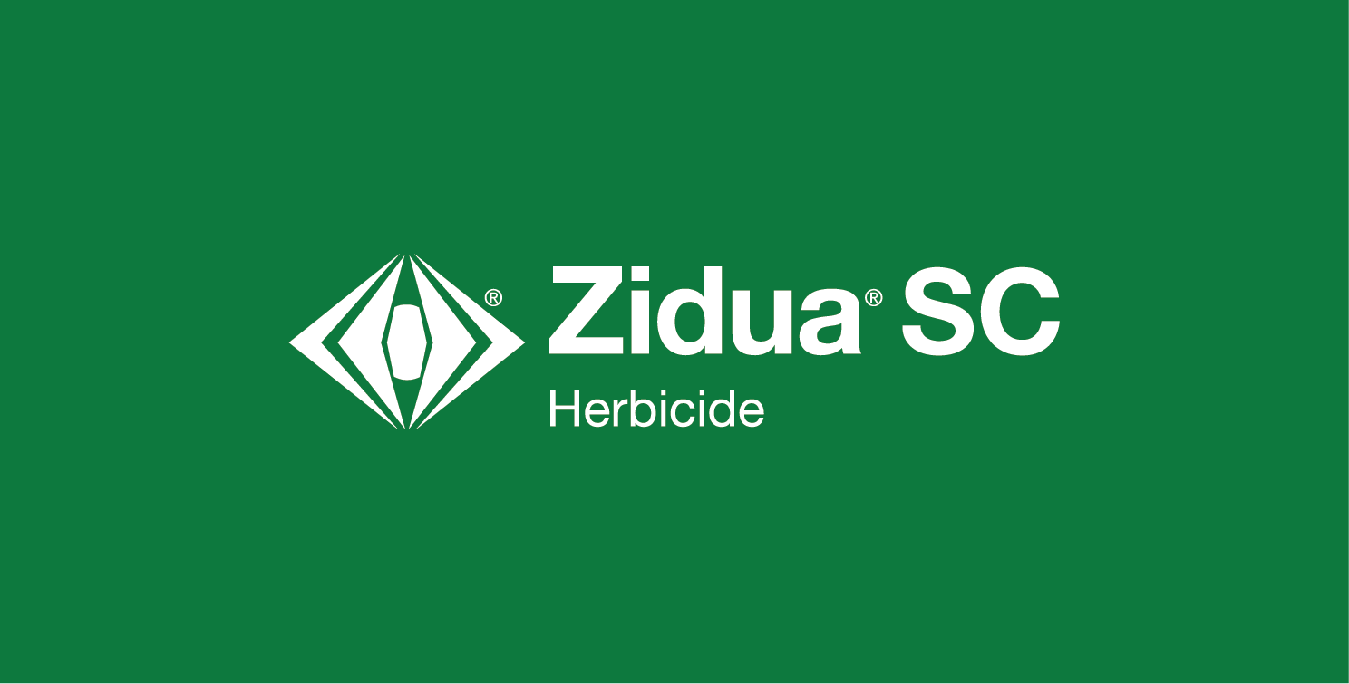 Zidua SC logo