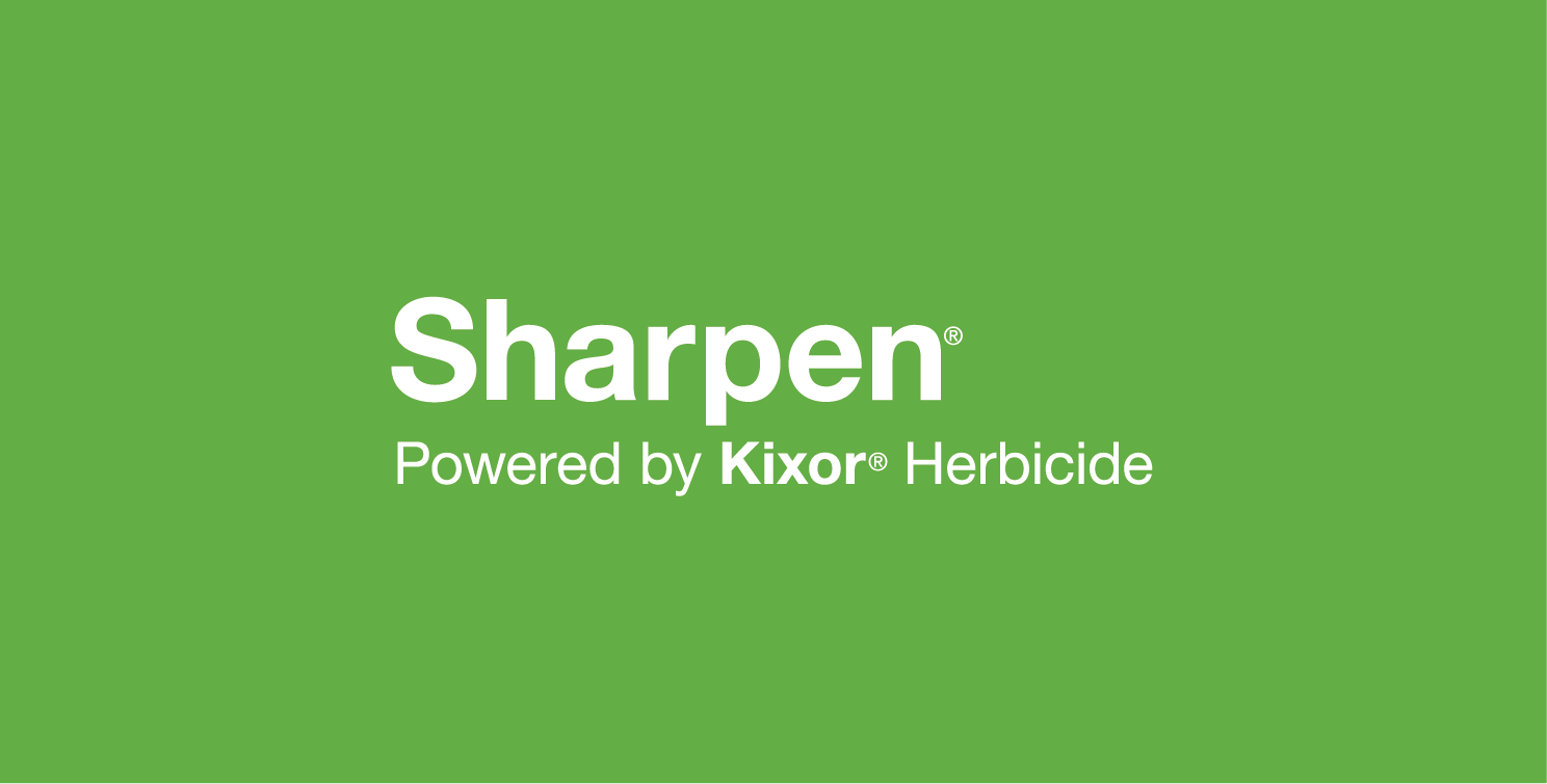 Sharpen Fungicide logo