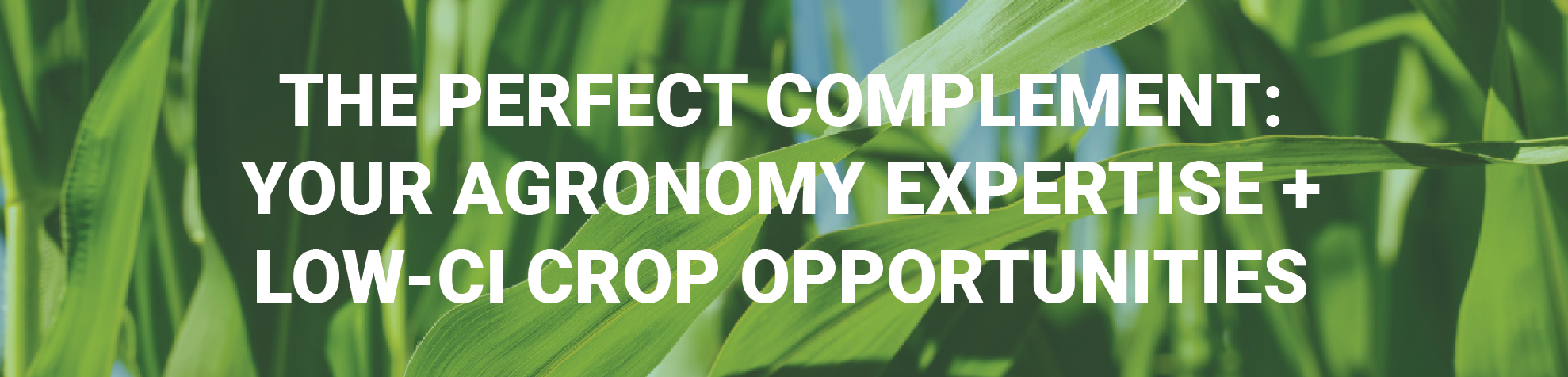 The Perfect Complement: Your Agronomy Expertise + Low CI Opportunities