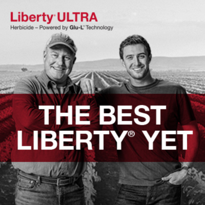 A black and white image of a soybean field with a man in his 60s smiling with arms crossed and his son in his 30s in front of the field. The son is leaning on the father with his hand on his shoulder.