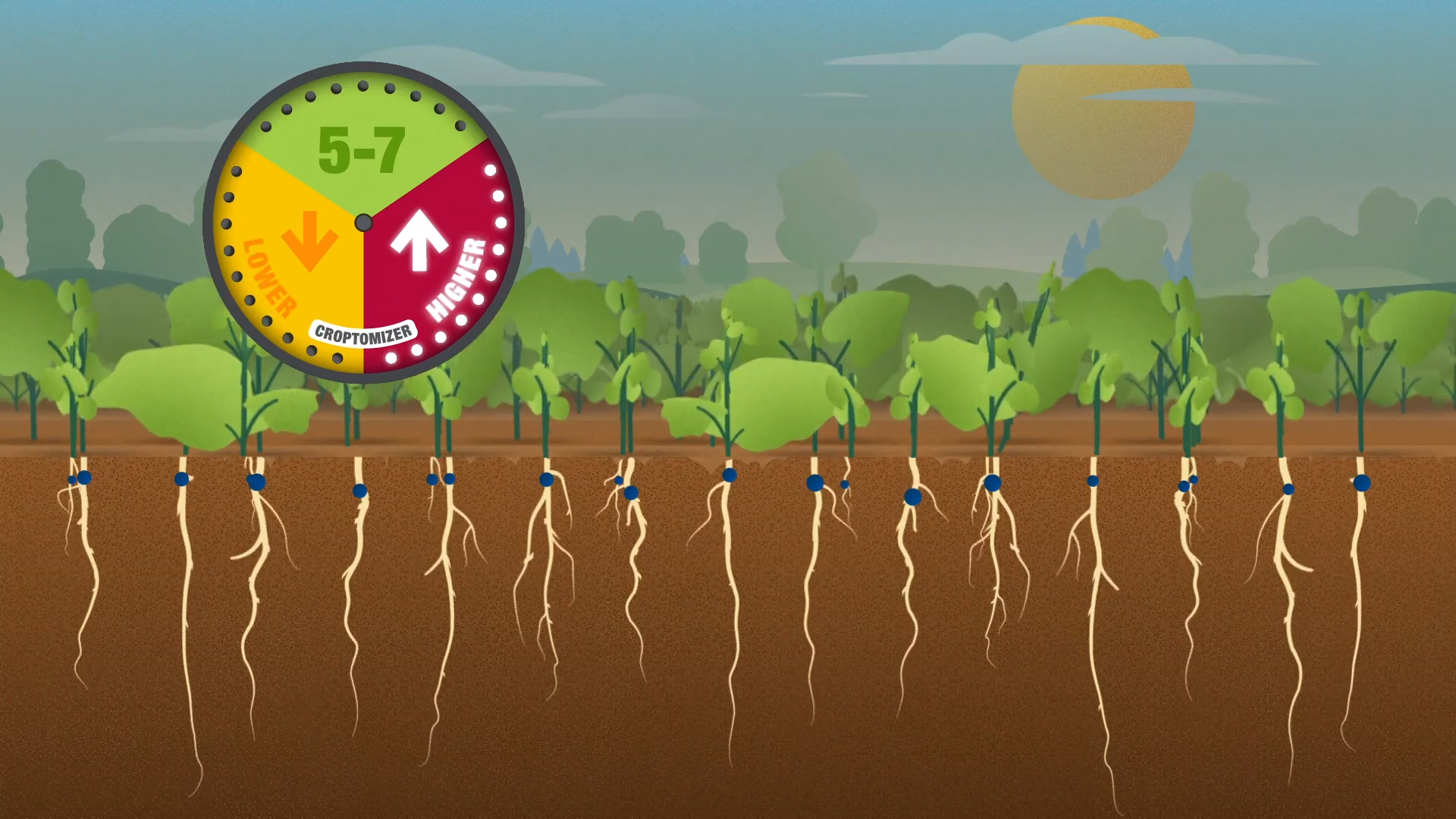 Infographic of crops growing