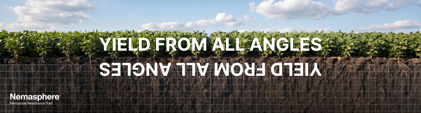 Plants on a farm behind words that read" Yield From All Angles"