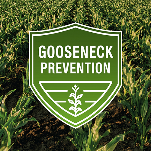 Green Shield that reads "Gooseneck Prevention"