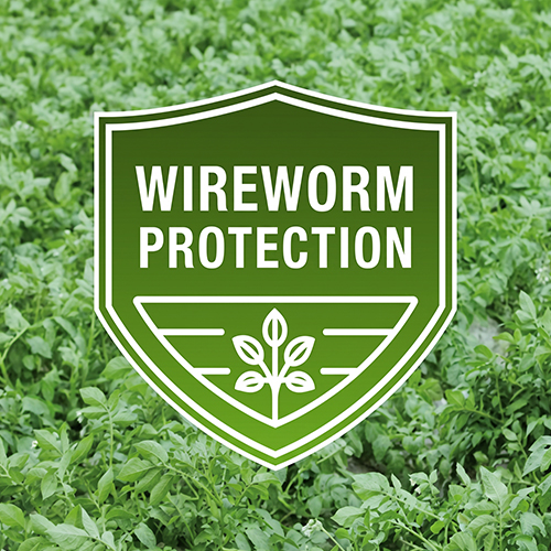 Green Shield that reads "Wireworm Protection"