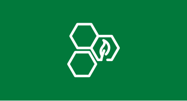 Three connecting hexagons, one with a leaf illustration within it, with a green background