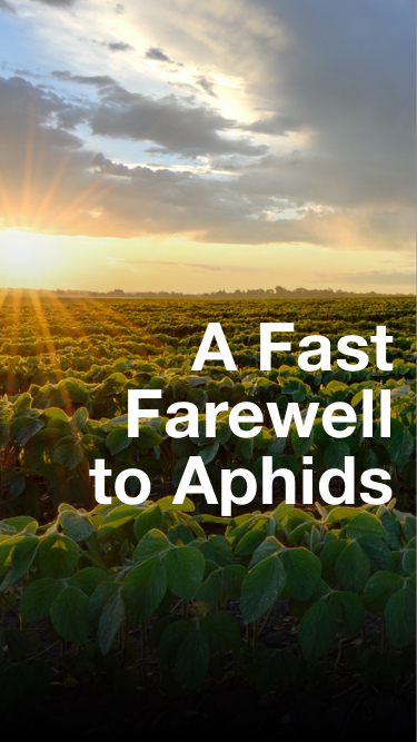 Picture of a crop field and the horizon in the background, A Fast Farewell to Aphids text