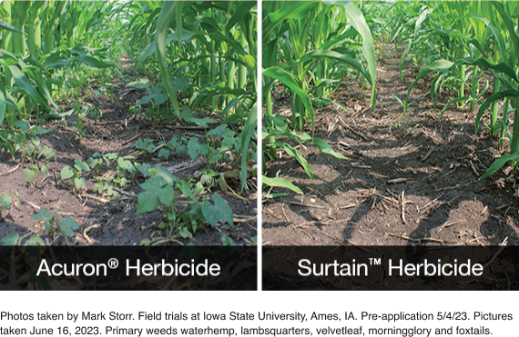 Acuron Herbicide vs Surtain Herbicide