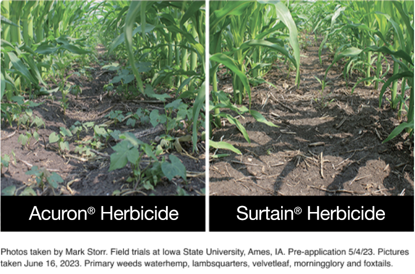 Acuron Herbicide vs Surtain Herbicide