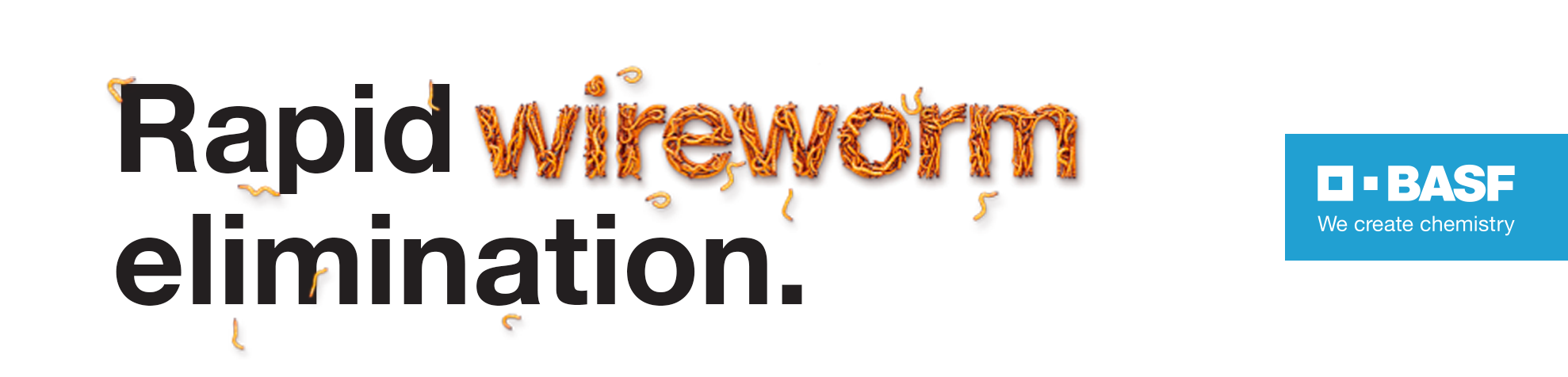Rapid wireworm elimination