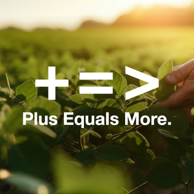 Plus Equals More