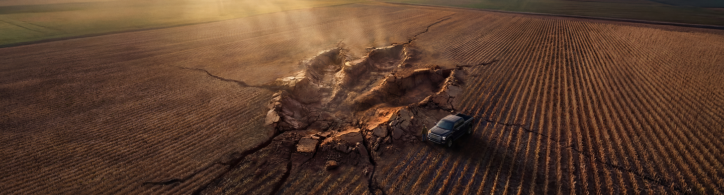 A dinosaur footprint in the middle of a farm