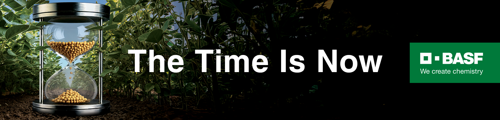 Timer filled with canola seeds