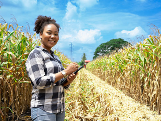 Woman standing in a corn field