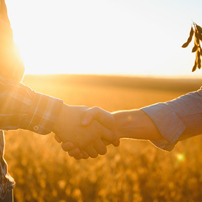 Two people shaking hands in a field