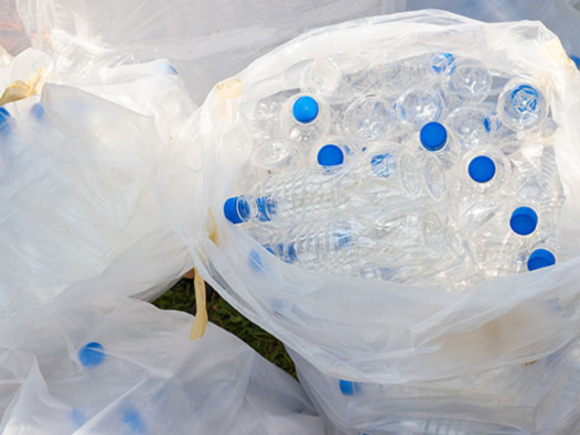 Plastic water bottles with blue caps