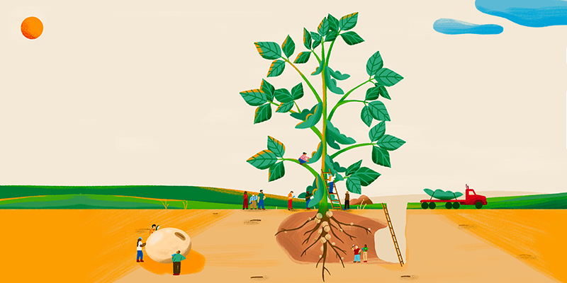 Animated soybean plant