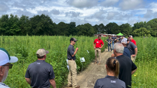 College students walking though a field of crops