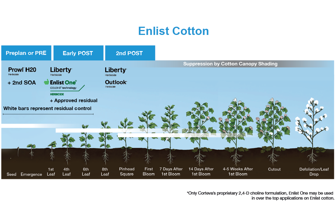 Enlist Cotton Traits