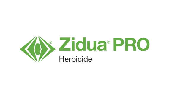 Zidua Pro Logo