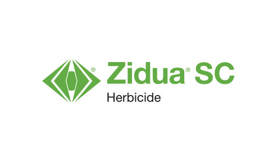 Zidua SC Logo