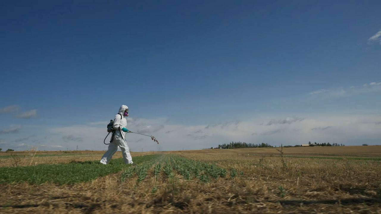 Researcher spraying field with funigicides