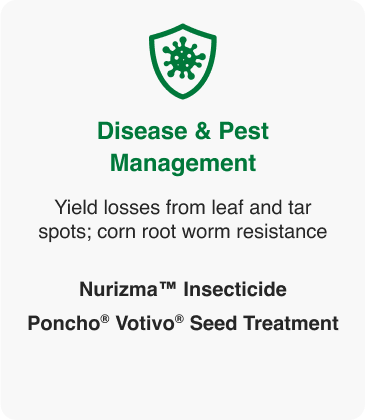 Disease and Pest Management