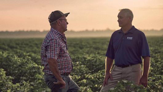 Two men talking in a field