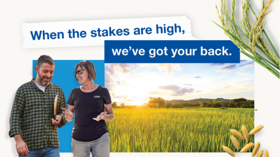 Rice Crop Protection Products & Rotation Systems - BASF