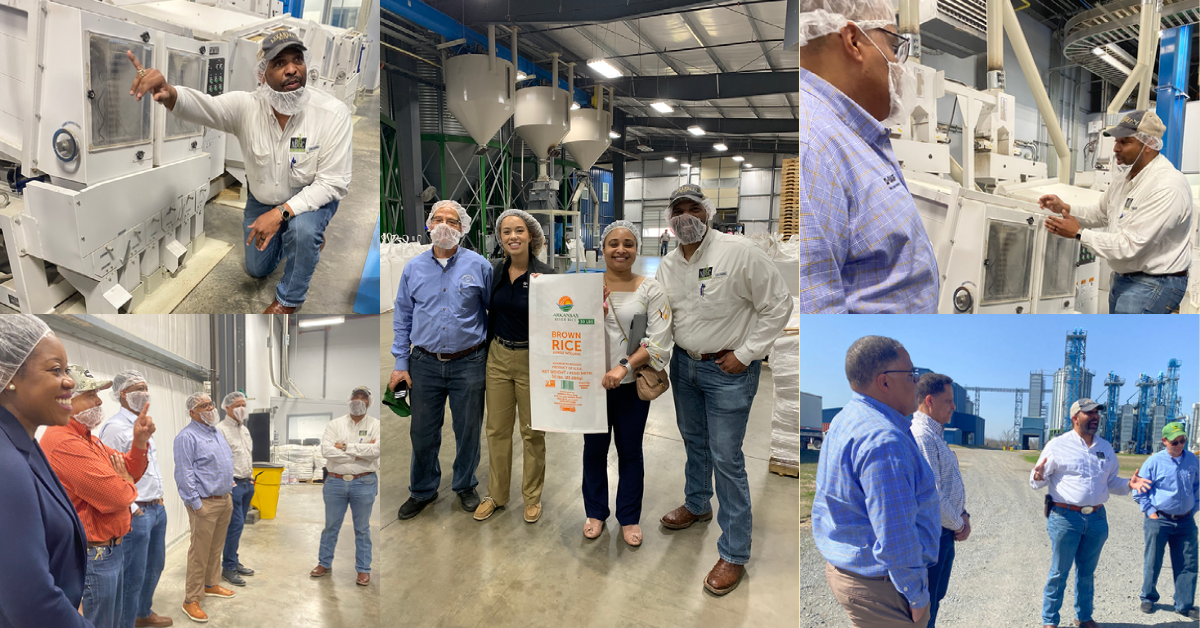 Photo Collage from Arkansas River Rice Mill