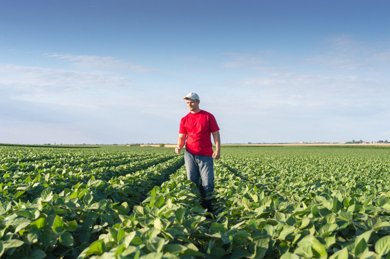 Young farmer in soybean fields ; Shutterstock ID 288526535; Purchase Order: -