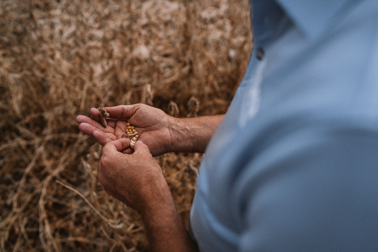 Man with soybean seeds in his palm