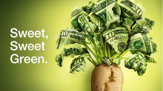 A carrot with money growing out of the top