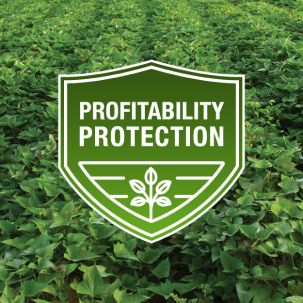 Profitability Protection