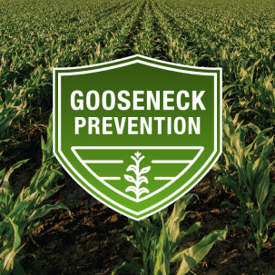 Gooseneck Prevention