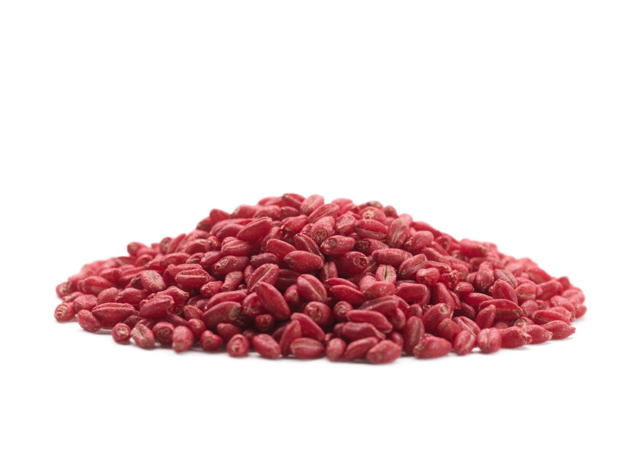 Pile of wheat seeds colored with Color Coat Red