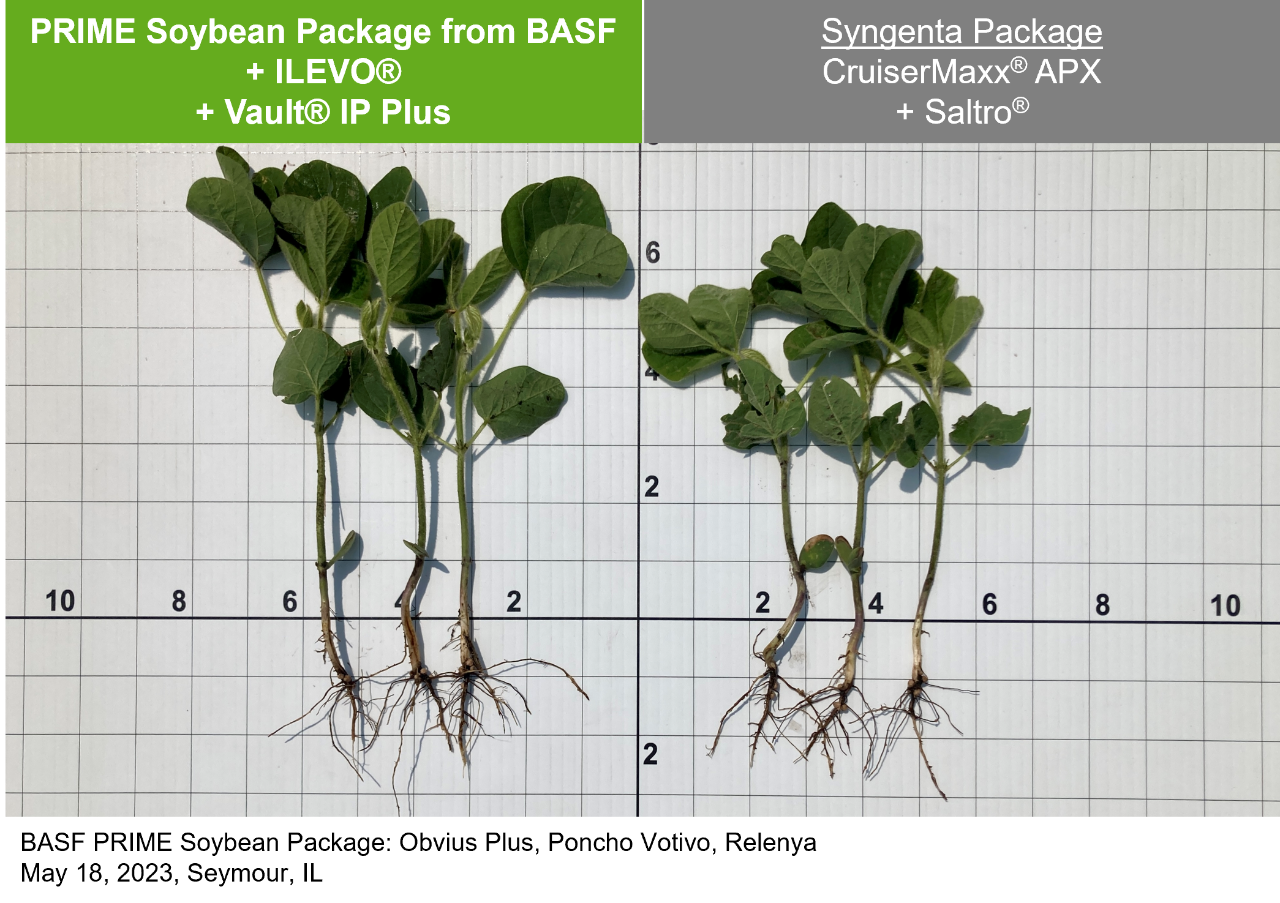 V1 soybean side-by-side comparison of PRIME Soybean Package (Obvius Plus, Poncho Votivo, Relenya) from BASF + ILEVO + Vault IP Plus compared to the Syngenta Package of CruiserMAX APX + Saltro.