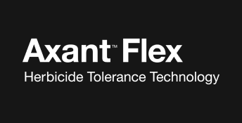 Axant Flex Logo