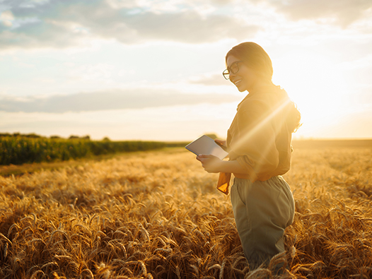 Woman standing in the field at sunset