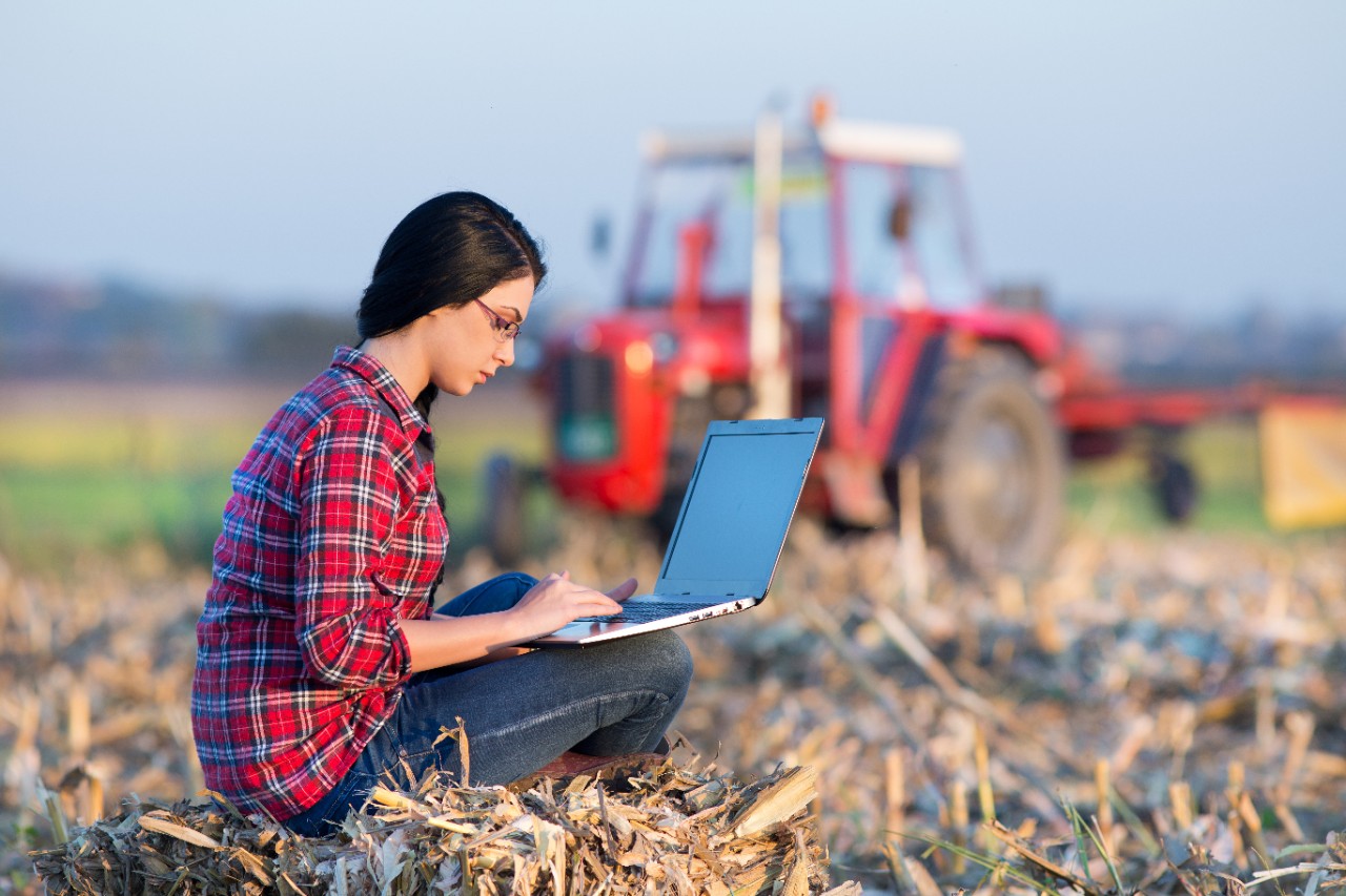 Young woman with laptop sitting on the bale on the field. Tractor in background